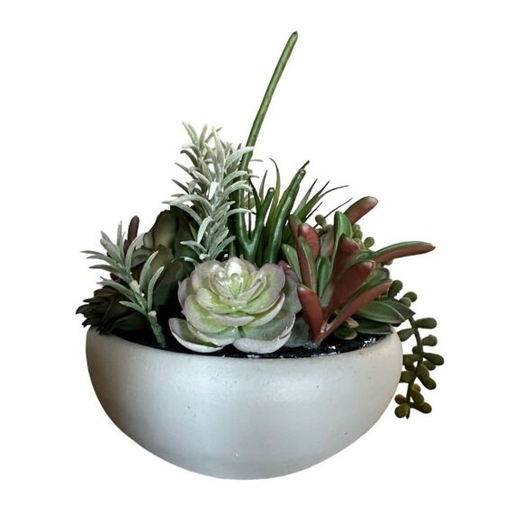 Project 62 Artificial Succulent Plant - Picture 2 of 4